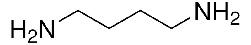 Sigma-Aldrich 1,4-二氨基丁烷,百分之九十九