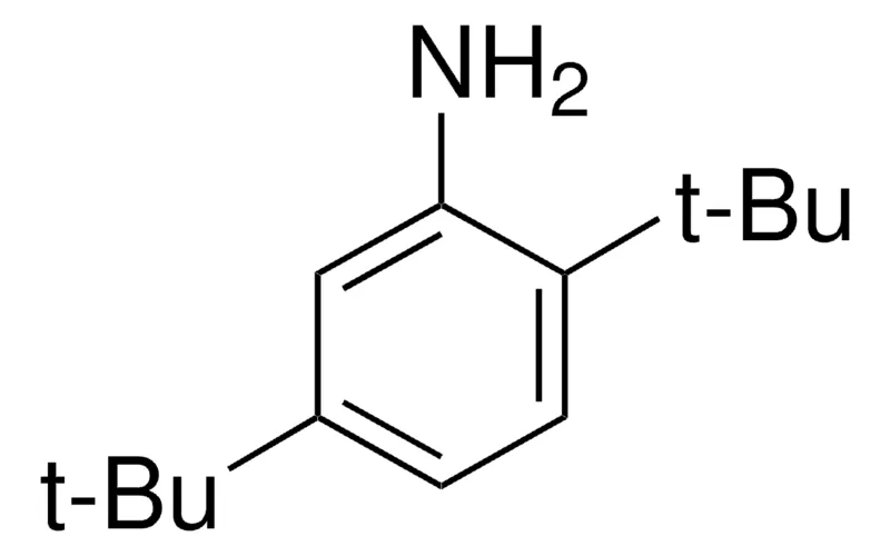 Sigma-Aldrich 2,5-二叔丁基苯胺,百分之九十九