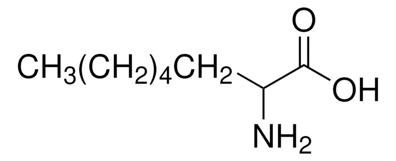 Sigma-Aldrich DL -2-氨基辛酸，百分之九十九