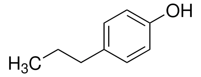 Sigma-Aldrich 4-正丙基苯酚，百分之九十九