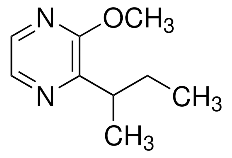 Sigma-Aldrich 2-仲丁基-3-甲氧基吡嗪，百分之九十九