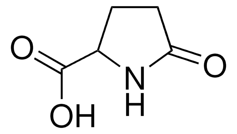 Sigma-Aldrich 2-吡咯烷酮-5-羧酸，百分之九十九