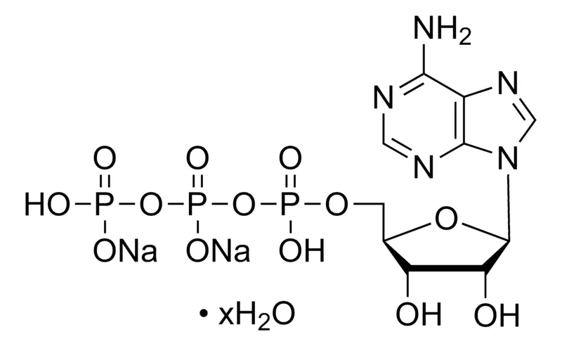 Sigma-Aldrich 腺苷 5′-三磷酸 二钠盐 水合物,百分之九十九