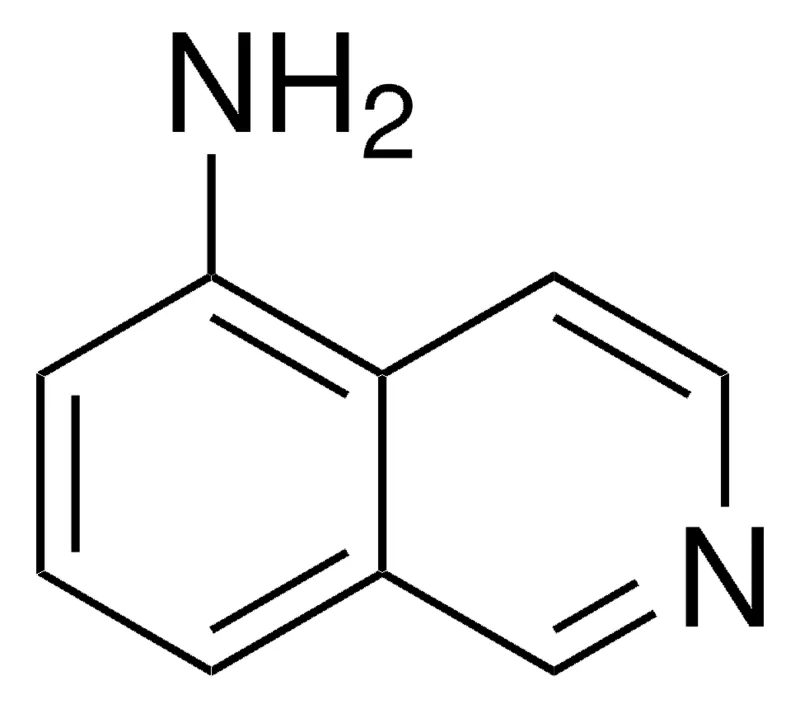 Sigma-Aldrich 5-氨基异喹啉,百分之九十九