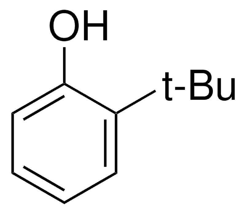 Sigma-Aldrich 2-叔丁基苯酚，百分之九十九