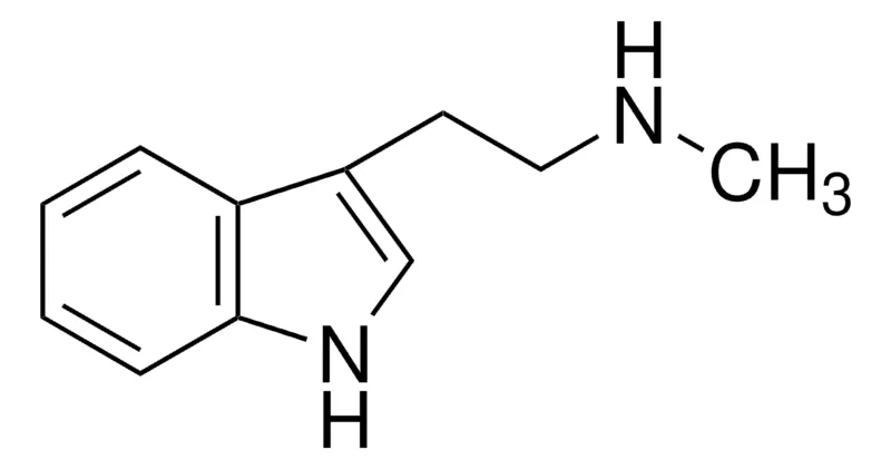 Sigma-Aldrich N-ω-甲基色胺,百分之九十九