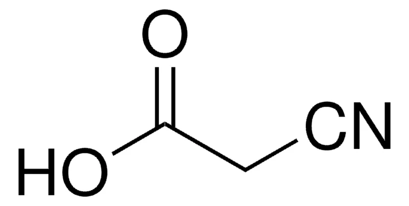 Sigma-Aldrich 氰乙酸，百分之九十九