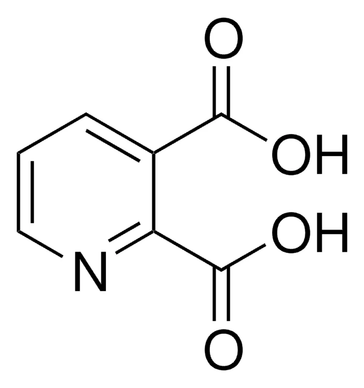 Sigma-Aldrich 2,3-吡啶二甲酸,百分之九十九