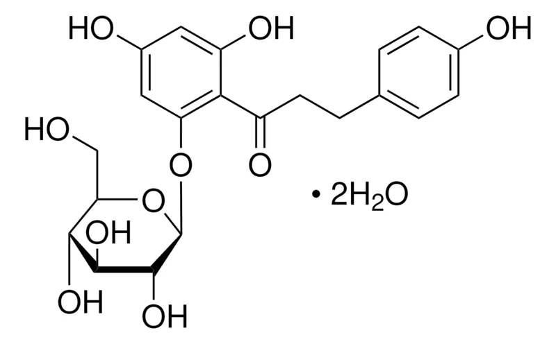 Sigma-Aldrich 弗罗利辛 二水合物,百分之九十九