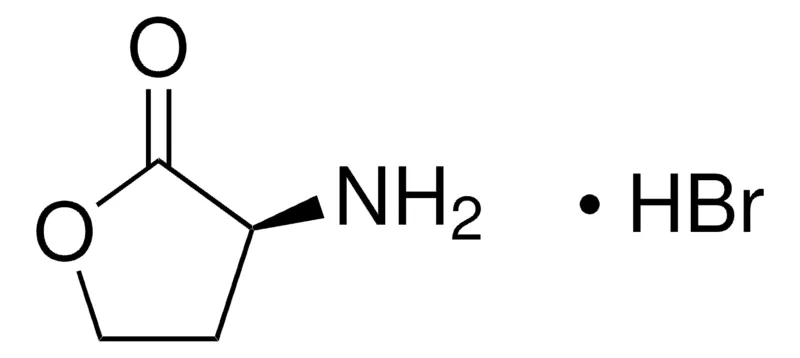 Sigma-Aldrich (S)-(-)-α-氨基-γ-丁内酯 氢溴酸盐,百分之九十九