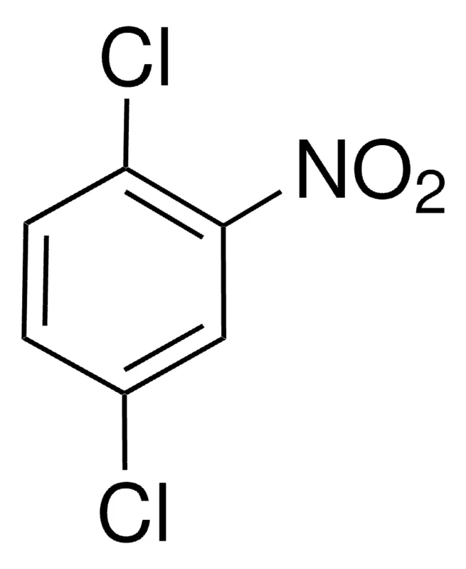 Sigma-Aldrich 1,4-二氯-2-硝基苯，百分之九十九