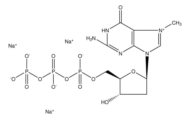 Sigma-Aldrich 薄荷醇,百分之九十九
