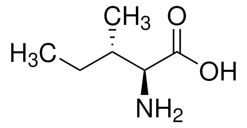Sigma-Aldrich L -异亮氨酸,99%,FCC,FG