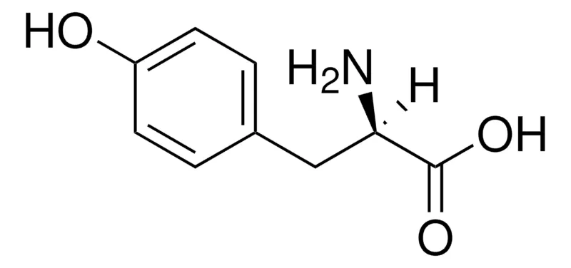 Sigma-Aldrich D-酪氨酸，ReagentPlus®，99%