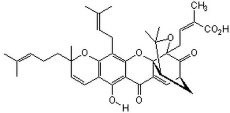 Sigma-Aldrich Gambogic Acid, Garcinia hanburyi,一种细胞渗透性半胱天冬酶激活剂和凋亡诱导剂,最初因其抗菌特性而从藤黄树脂中分离。