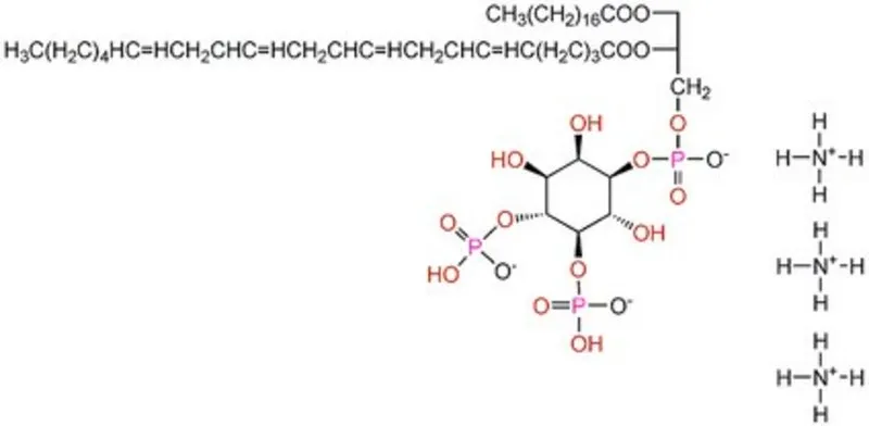 Sigma-Aldrich L-α-Phosphatidyl-D-myo-inositol-4,5-bisphosphate, Triammonium Salt, Porcine Brain,一种与磷脂酶C(PLC)相关的膜结合受体组分。