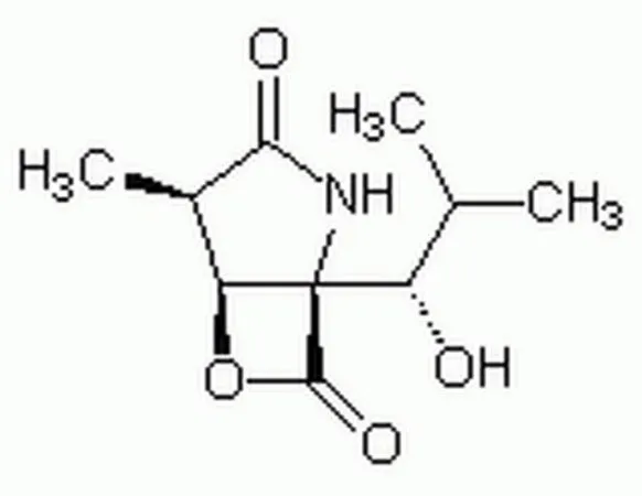 Sigma-Aldrich clasto-Lactacystin β-Lactone，一种高度特异性、细胞渗透性和不可逆的20 S蛋白酶体抑制剂。