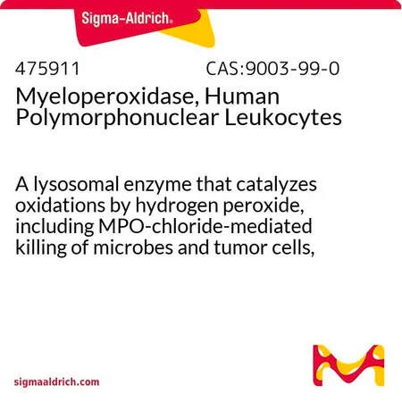 Sigma-Aldrich 髓过氧化物酶,来源于人多形核白细胞,一种催化过氧化氢氧化作用的溶酶体酶,包括MPO-氯化物介导的杀死微生物和肿瘤细胞、灭活趋化因子和交联蛋白质。