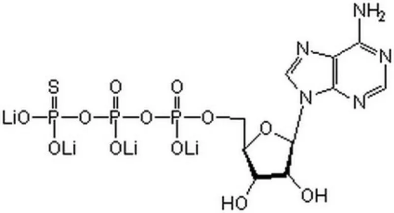 默克密理博 腺苷5′-O-(3-硫代三磷酸),四锂盐,一种相对稳定的、可缓慢水解的ATP类似物,在各种激酶反应中可替代ATP。用作ATP依赖酶系统的底物和抑制剂。