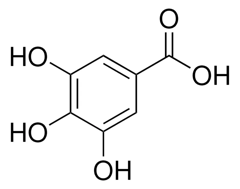 Sigma-Aldrich 没食子酸 一水合物，ACS试剂级，≥98.0%，粉末