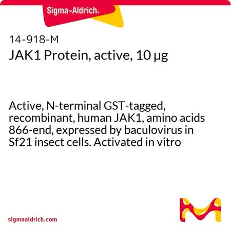 Sigma-Aldrich JAK1 Protein, active, 10 µg