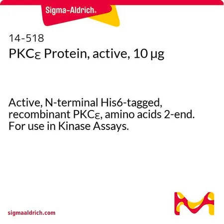 Sigma-Aldrich PKCε 蛋白(活性,10 µg)