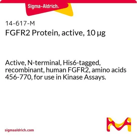 Sigma-Aldrich FGFR2 Protein, active, 10 µg