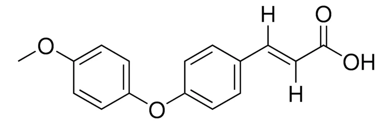 Sigma-Aldrich (E)-3-(4-(4-Methoxyphenoxy)phenyl)acrylic acid,AldrichCPR