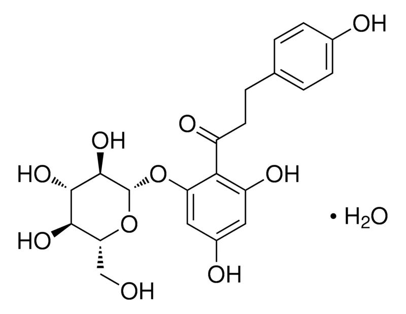 Sigma-Aldrich Phlorizin hydrate,AldrichCPR