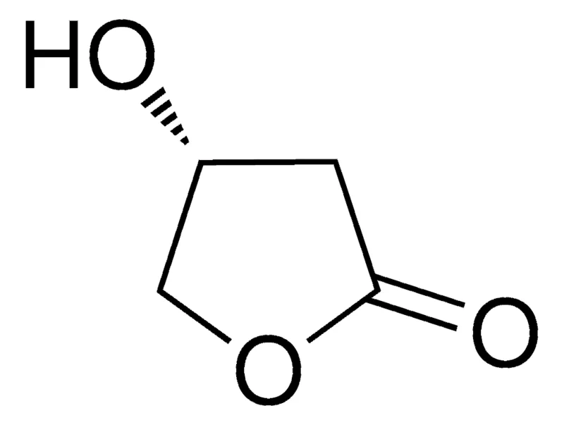 Sigma-Aldrich (R)-3-Hydroxy-γ-butyrolactone,AldrichCPR