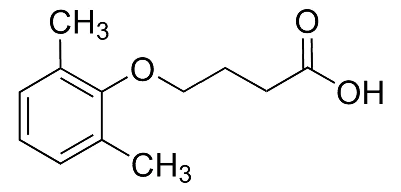 Sigma-Aldrich 4-(2,6-Dimethylphenoxy)butanoic acid,AldrichCPR
