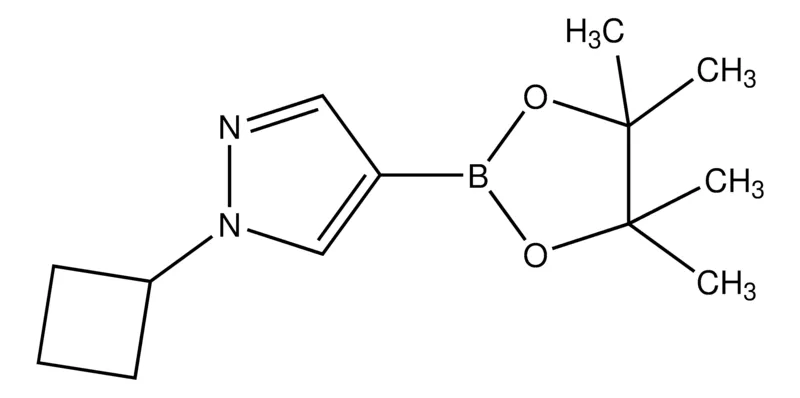 Sigma-Aldrich 1-Cyclobutyl-1H-pyrazole-4-boronic acid pinacol ester,AldrichCPR