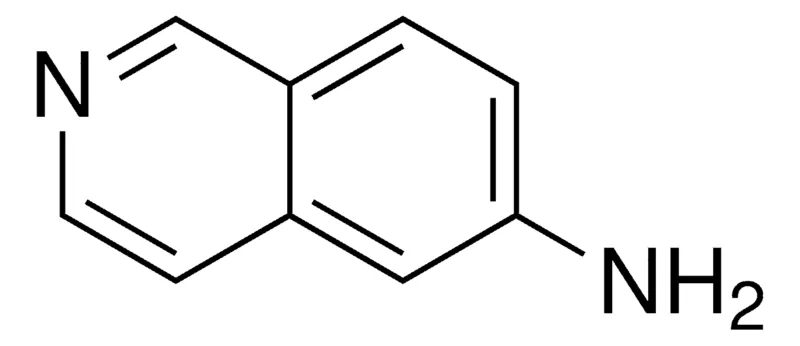 Sigma-Aldrich 6-aminoisoquinoline,AldrichCPR