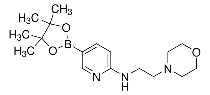 Sigma-Aldrich 2-(2-Morpholinoethylamino)pyridine-5-boronic acid, pinacol ester，AldrichCPR