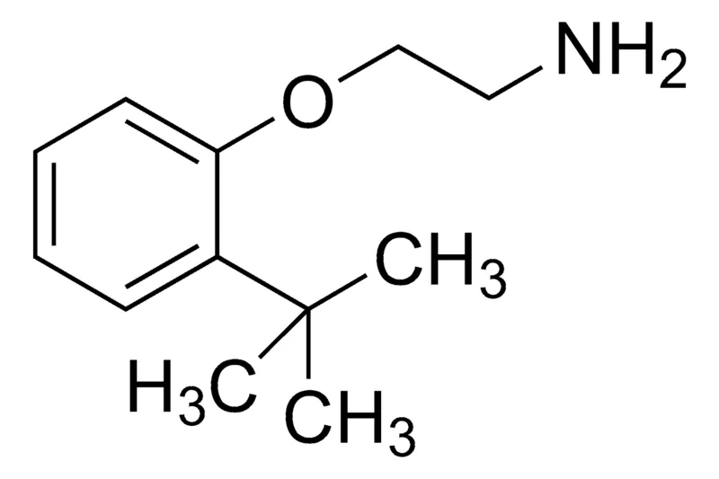 Sigma-Aldrich 2-(2-tert-Butylphenoxy)ethanamine,AldrichCPR