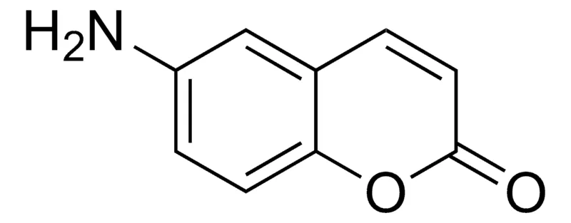 Sigma-Aldrich 6-Amino-chromen-2-one,AldrichCPR
