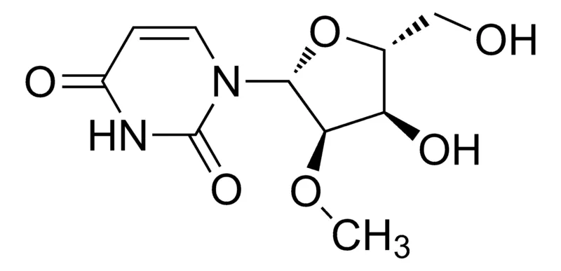 Sigma-Aldrich 2′-o-Methyluridine,AldrichCPR