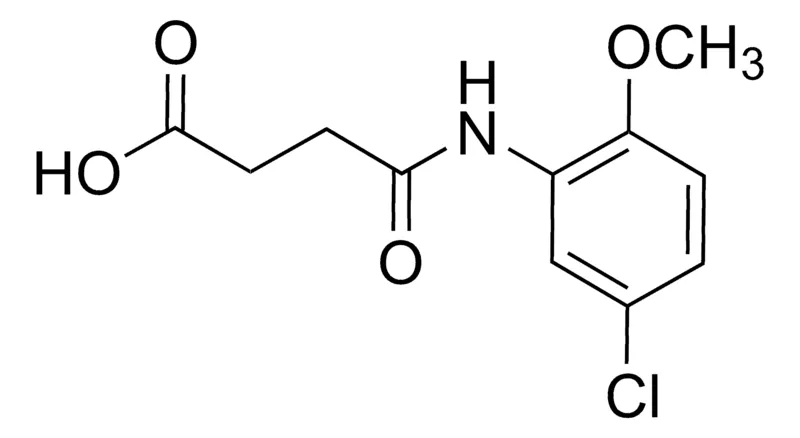 Sigma-Aldrich 4-(5-Chloro-2-methoxyanilino)-4-oxobutanoic acid,AldrichCPR