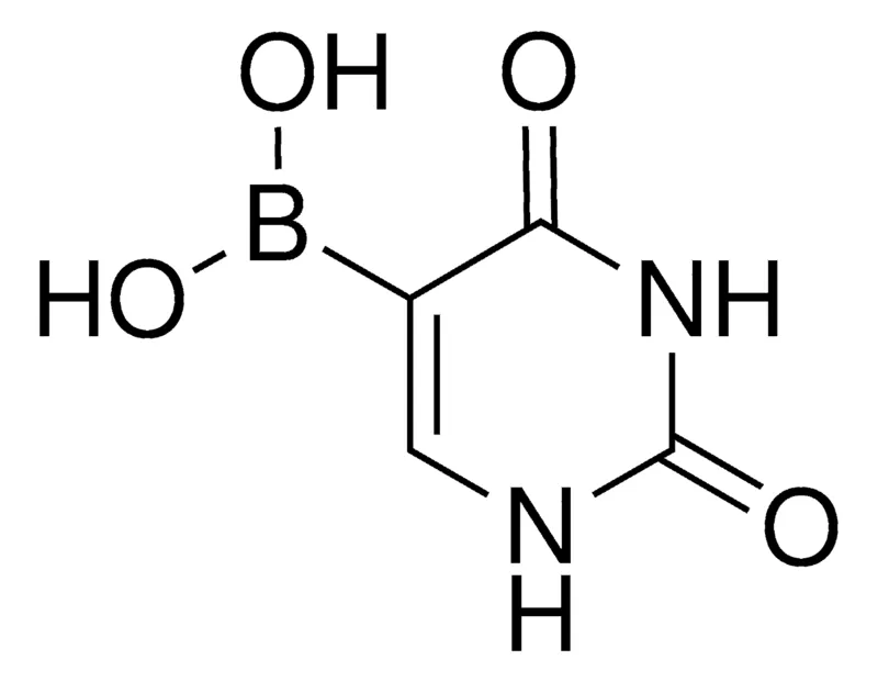Sigma-Aldrich Uracil-5-boronic acid,AldrichCPR