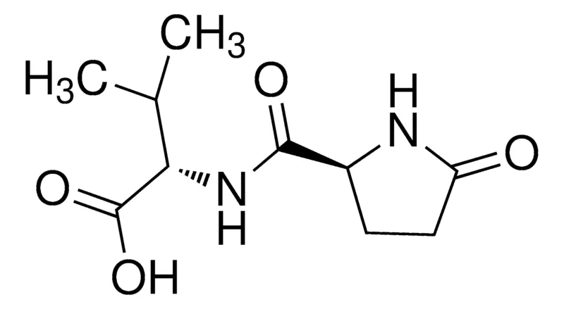 Sigma-Aldrich Pyr-Val-OH,AldrichCPR
