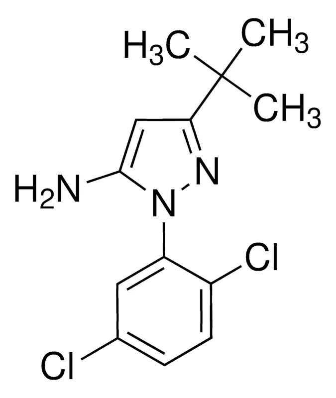 Sigma-Aldrich 5-tert-Butyl-2-(2,5-dichlorophenyl)-2h-pyrazol-3-ylamine,AldrichCPR