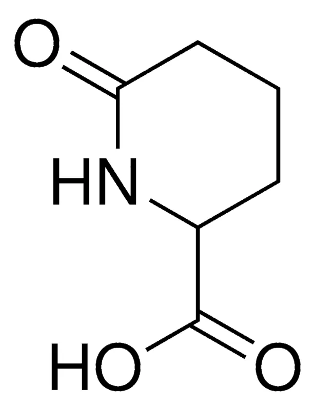 Sigma-Aldrich 6-oxo-pipecolinic acid,AldrichCPR