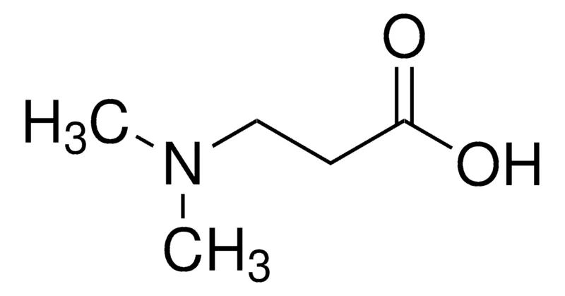 Sigma-Aldrich 3-dimethylaminopropionic acid,AldrichCPR
