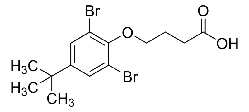 Sigma-Aldrich 4-(2,6-Dibromo-4-tert-butylphenoxy)butanoic acid,AldrichCPR