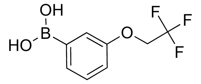 Sigma-Aldrich 3-(2,2,2-Trifluoroethoxy)phenylboronic acid,AldrichCPR