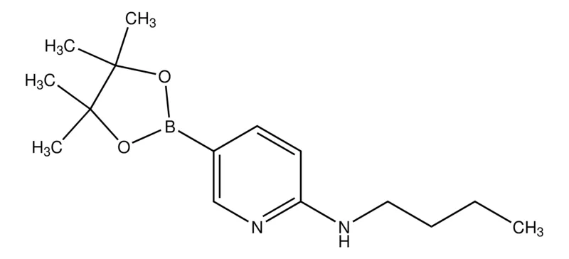 Sigma-Aldrich 2-Butylamino-5-pyridineboronic acid pinacol ester,AldrichCPR