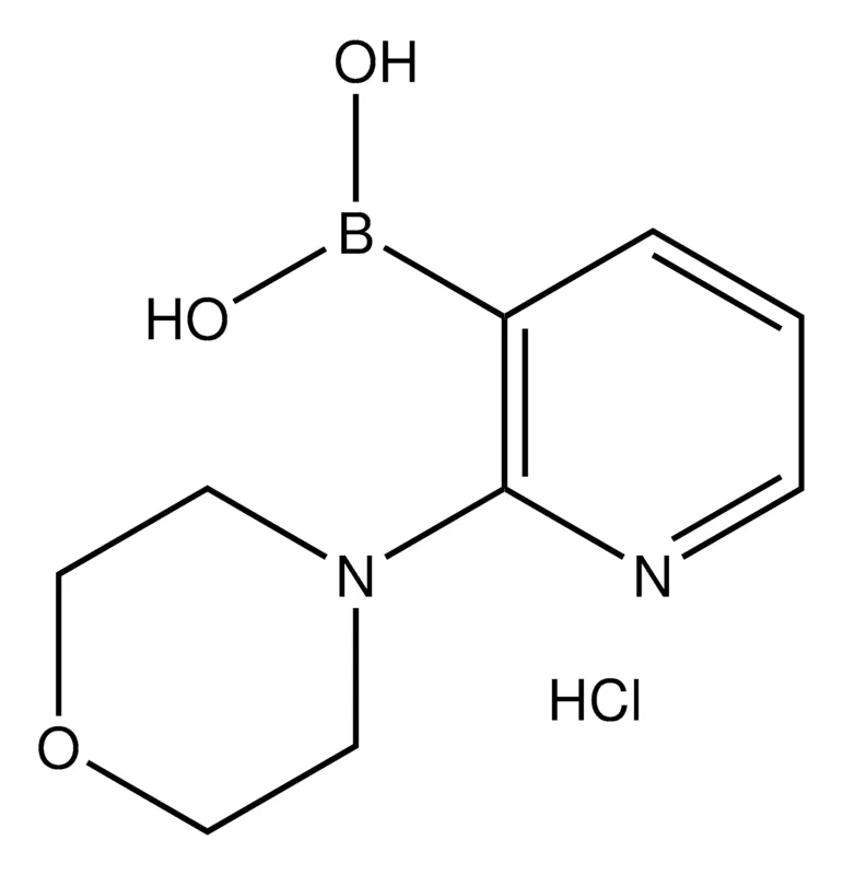 Sigma-Aldrich 2-Morpholinopyridine-3-boronic acid hydrochloride,AldrichCPR
