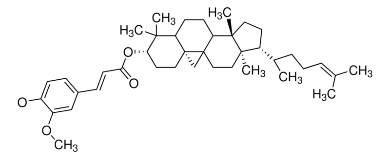 Sigma-Aldrich Γ-谷维素,AldrichCPR