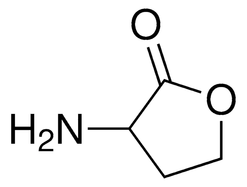 Sigma-Aldrich Dihydro-3-amino-2-(3H)-furanone,AldrichCPR