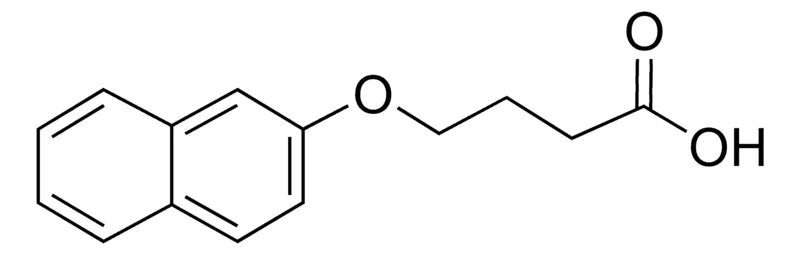 Sigma-Aldrich 4-(2-Naphthyloxy)butanoic acid,AldrichCPR